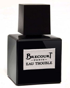 Brecourt Eau Trouble