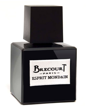 brecourt esprit mondain