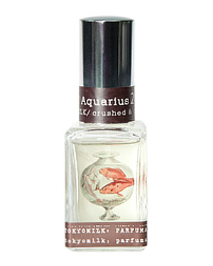 Age of Aquarius at Indiescents.com