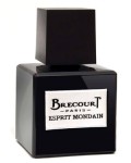 brecourt esprit mondain